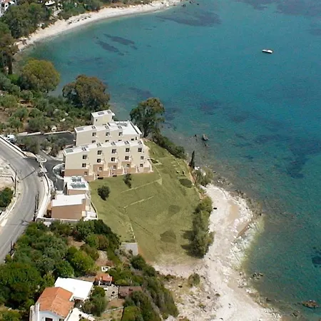 View Petalidi